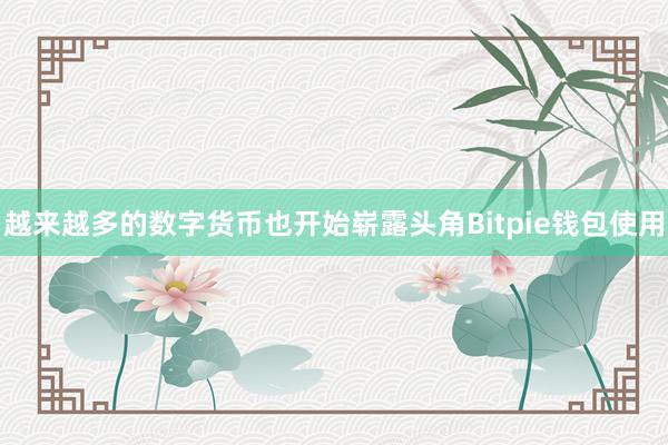 越来越多的数字货币也开始崭露头角Bitpie钱包使用