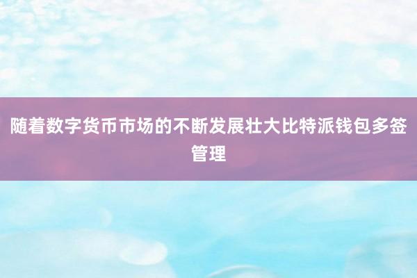 随着数字货币市场的不断发展壮大比特派钱包多签管理