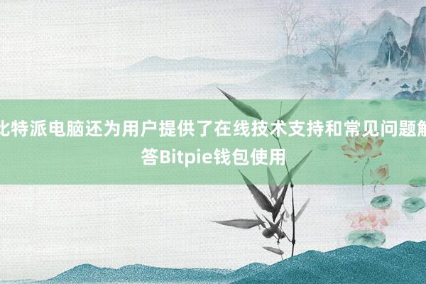 比特派电脑还为用户提供了在线技术支持和常见问题解答Bitpie钱包使用