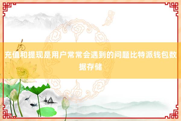 充值和提现是用户常常会遇到的问题比特派钱包数据存储