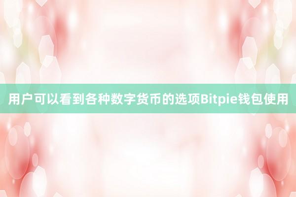 用户可以看到各种数字货币的选项Bitpie钱包使用