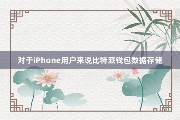 对于iPhone用户来说比特派钱包数据存储