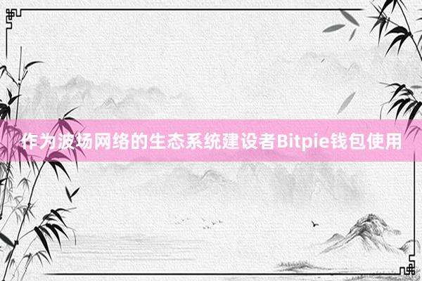 作为波场网络的生态系统建设者Bitpie钱包使用