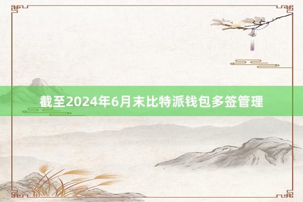 截至2024年6月末比特派钱包多签管理