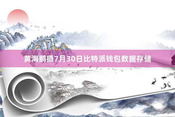 黄海鹏摄7月30日比特派钱包数据存储