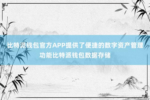 比特派钱包官方APP提供了便捷的数字资产管理功能比特派钱包数据存储