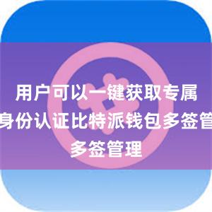 用户可以一键获取专属的身份认证比特派钱包多签管理